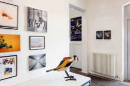 galerie-hartwich