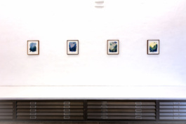 galerie-hartwich